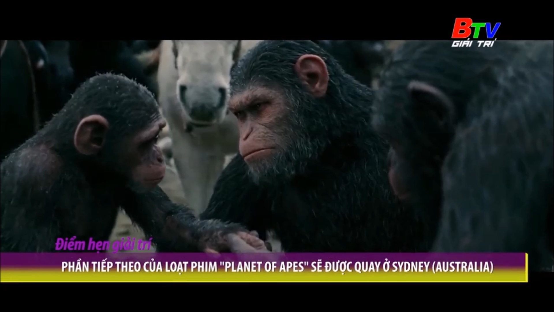 Phần tiếp theo của loạt phim “Planet Of Apes” sẽ được quay ở Sydney (Australia)
